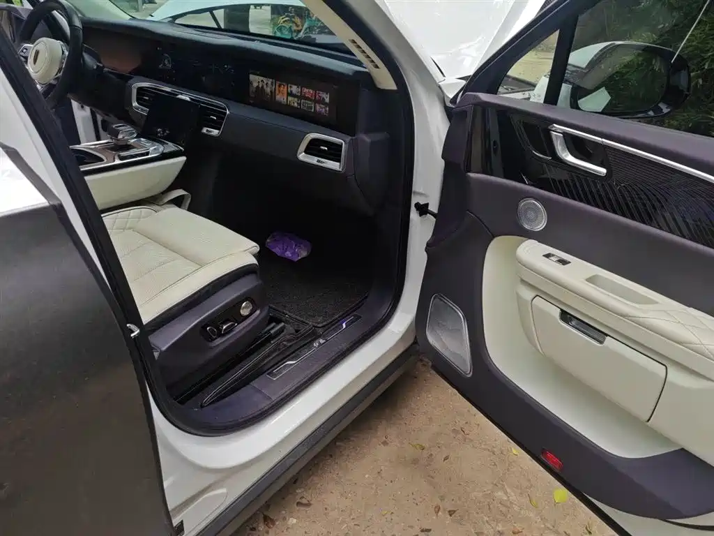 Hongqi E-HS9 2021 510km Flagship Edition 4-seater фото 20