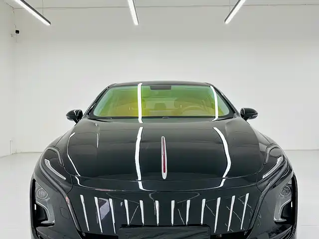 Hongqi E-QM5 2023 Facelift Basic Travel Edition — фото 2