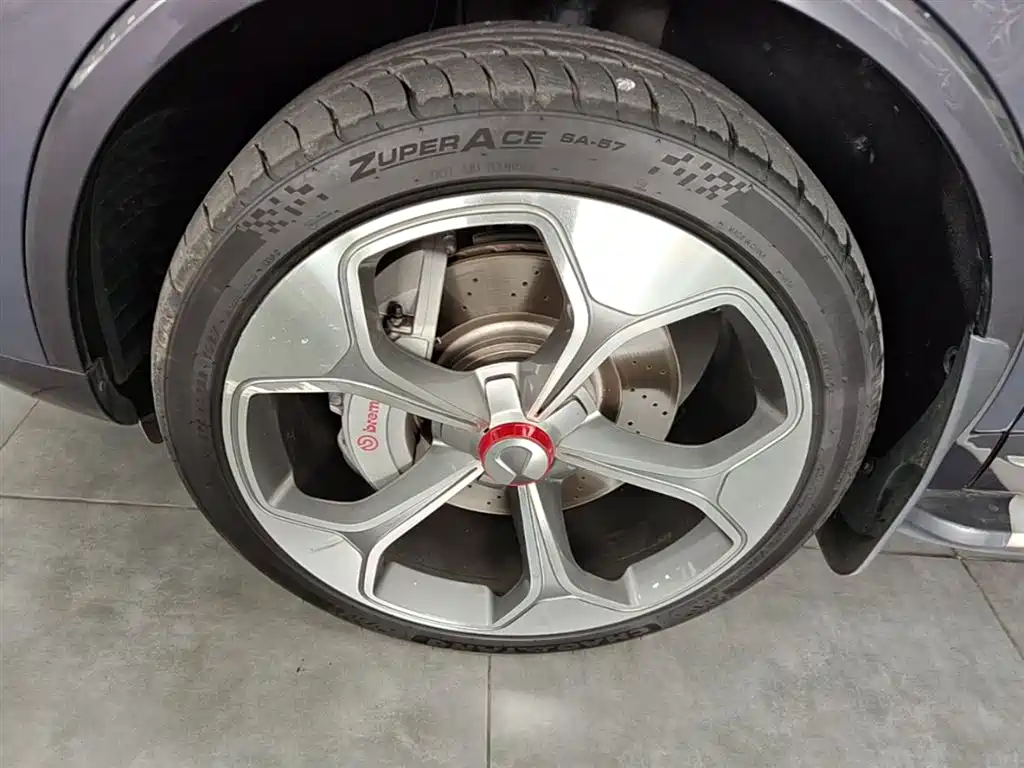 Denza X 2020 PHEV Sport Edition фото 23