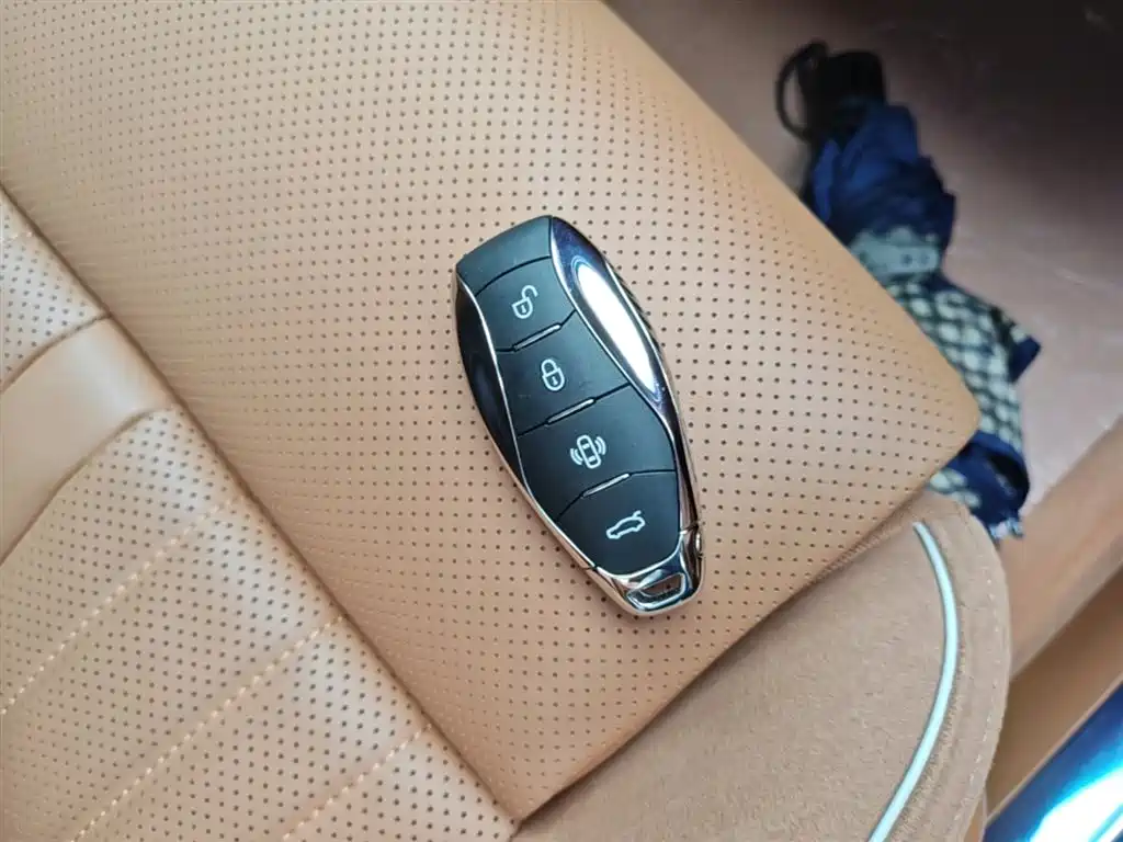 Hongqi H9 2024 2.0T Qi Enjoy Private Fashion Edition фото 15