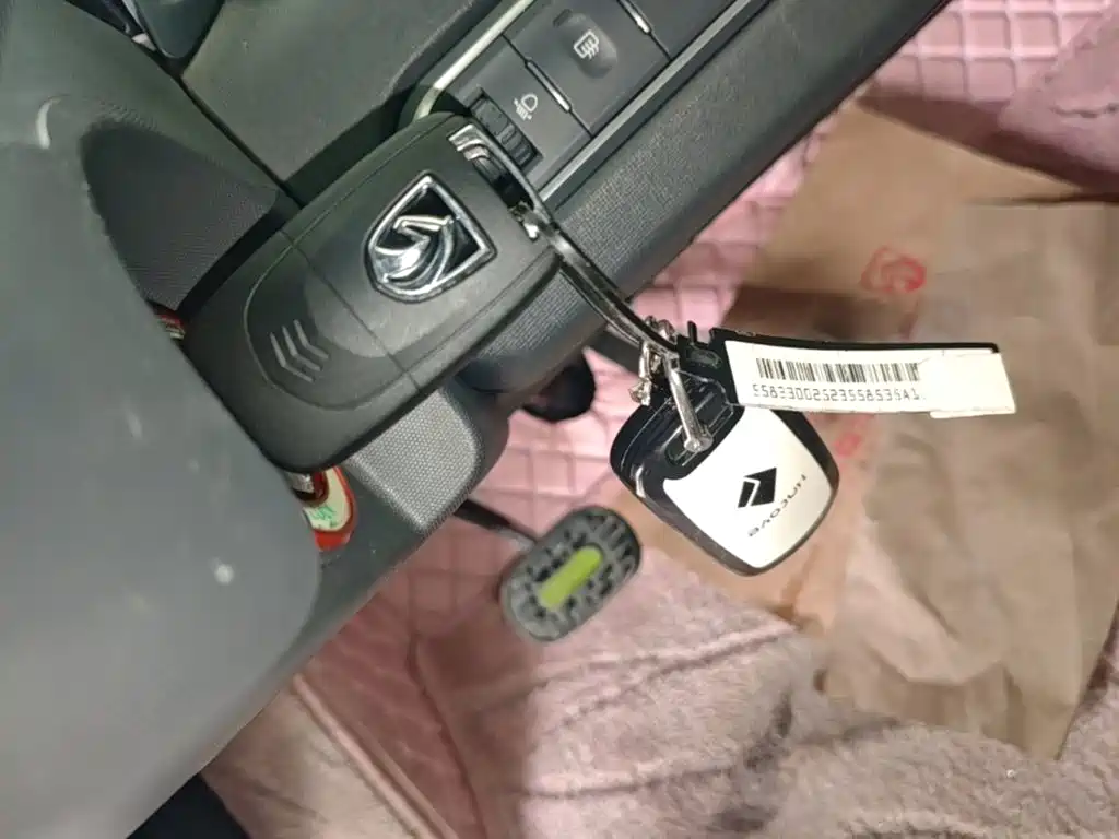 Baojun E100 2021 2020 305KM Intelligent Edition