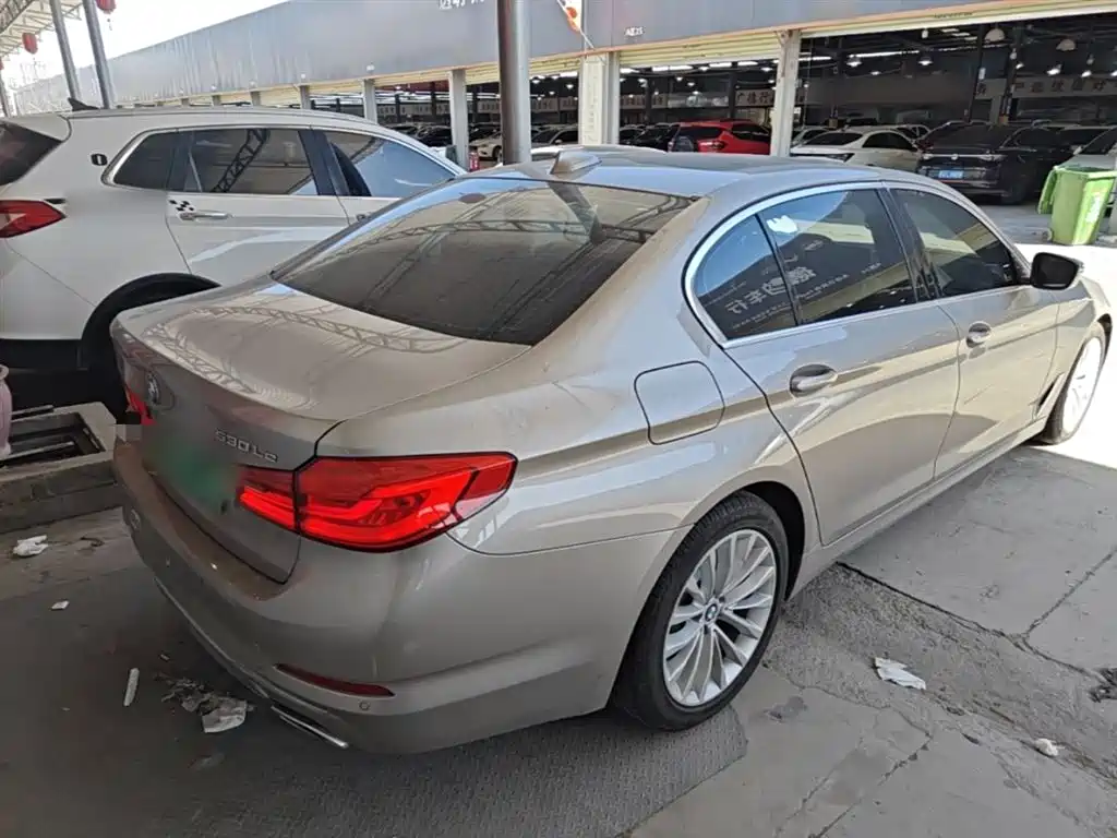 BMW 5 Series New Energy 2020 530Le Range Upgrade Luxury Package фото 7