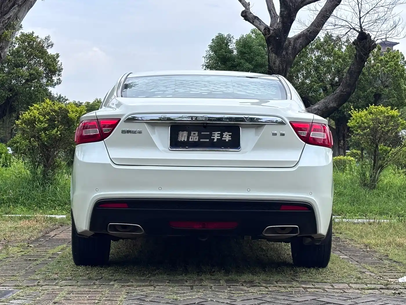 Фото 6 - Geely Borui