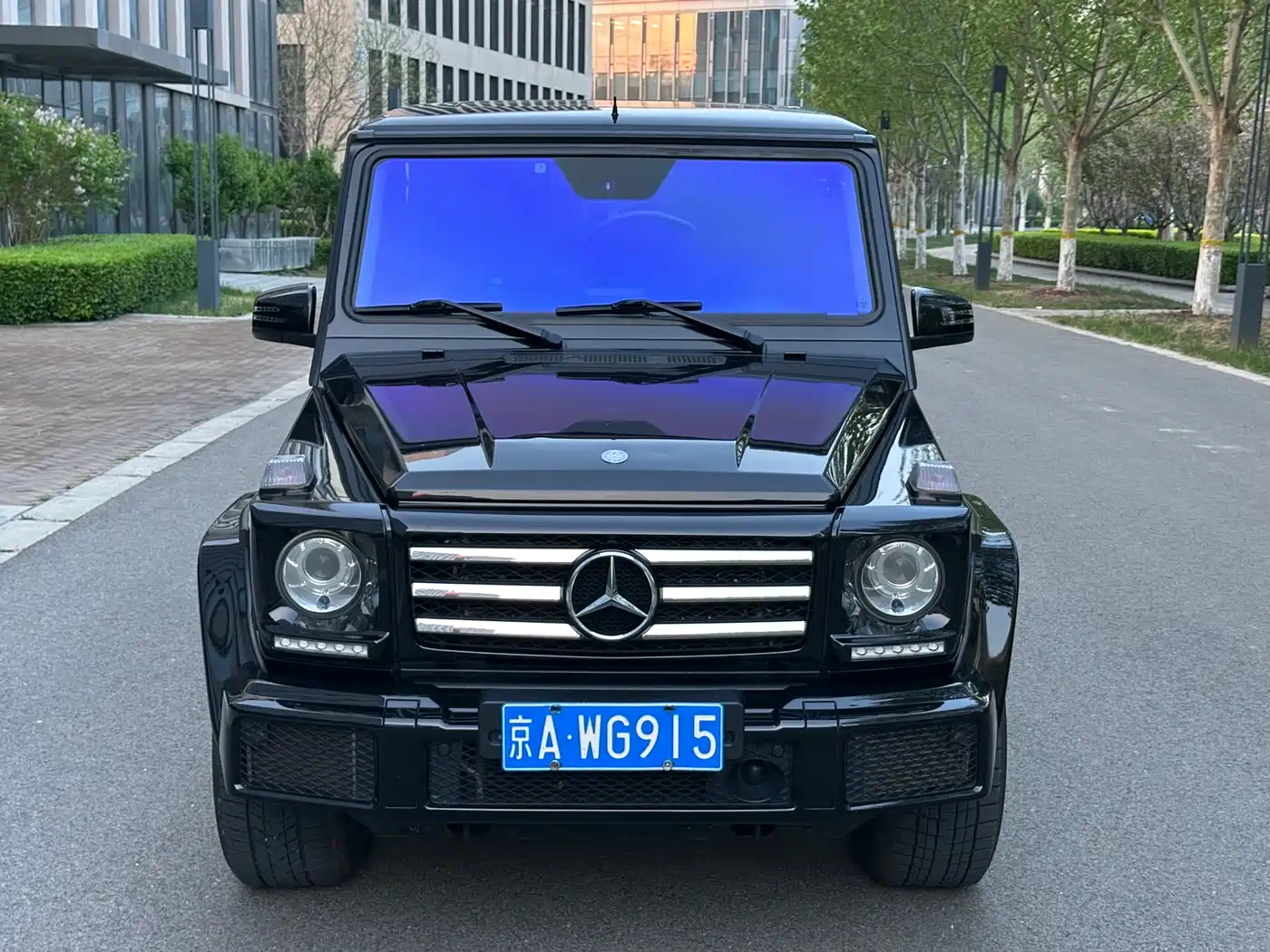 Mercedes-Benz G-Class 2016 G 500 фото 2
