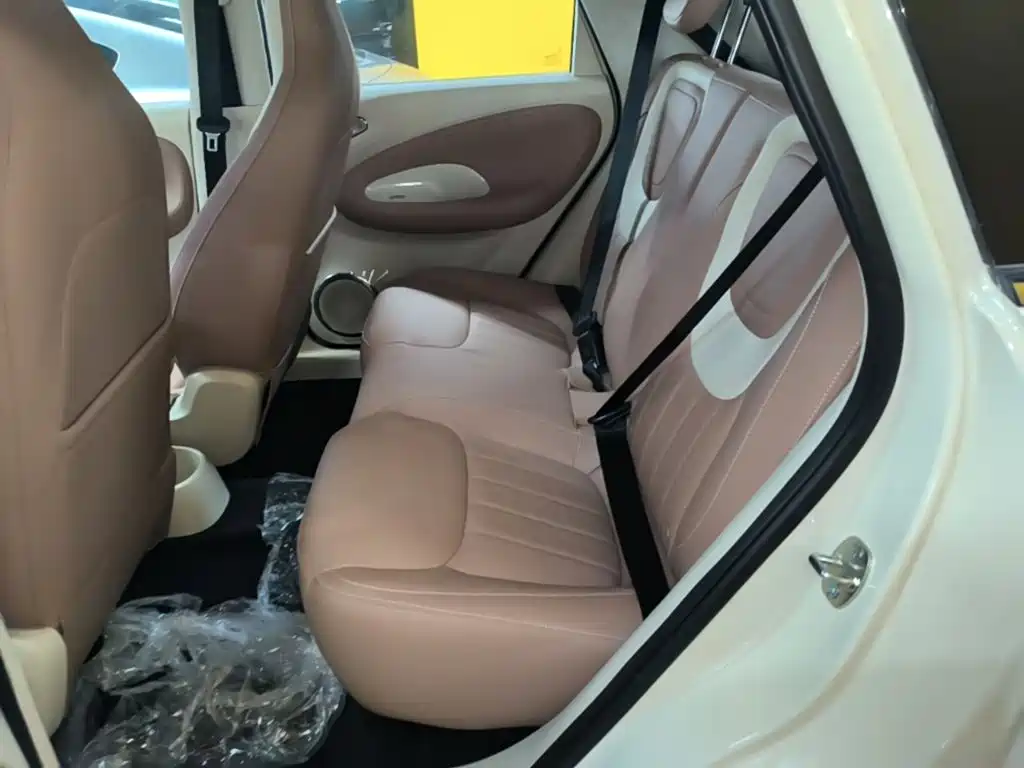 Wuling Motors Wuling Bingo 2026 2025 Model 333km Joy Edition