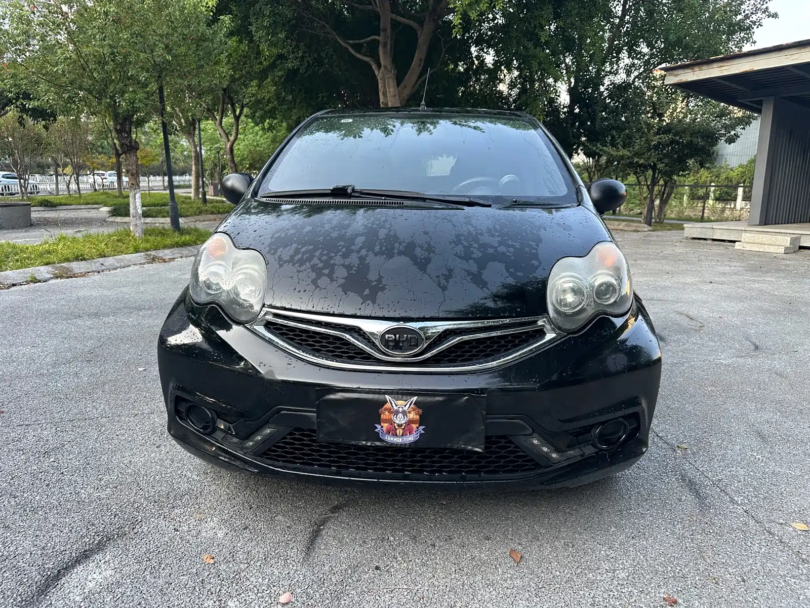 Фото 3 - BYD F0
