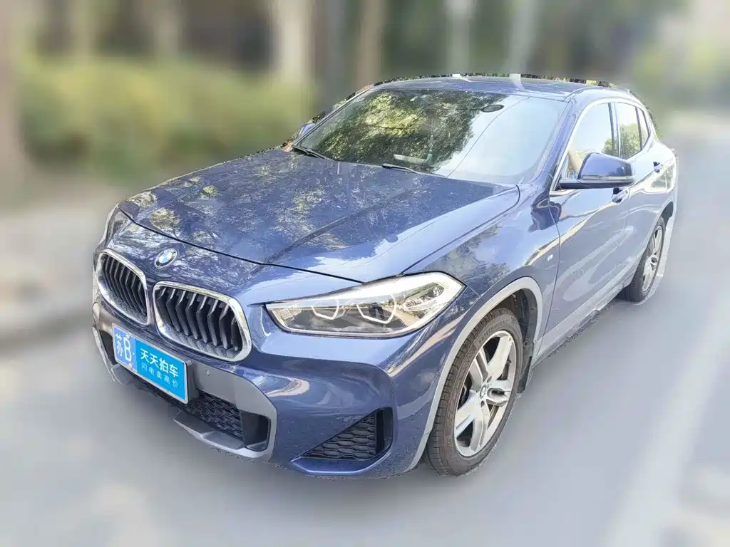 BMW X2 2020 sDrive25i Leading M Off-Road Package