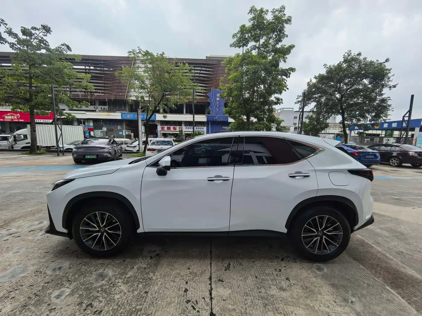 Lexus NX 2026 2025 Model 200 Base Version