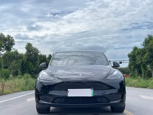 Tesla Model Y 2023 Rear-Wheel Drive Edition — фото 2
