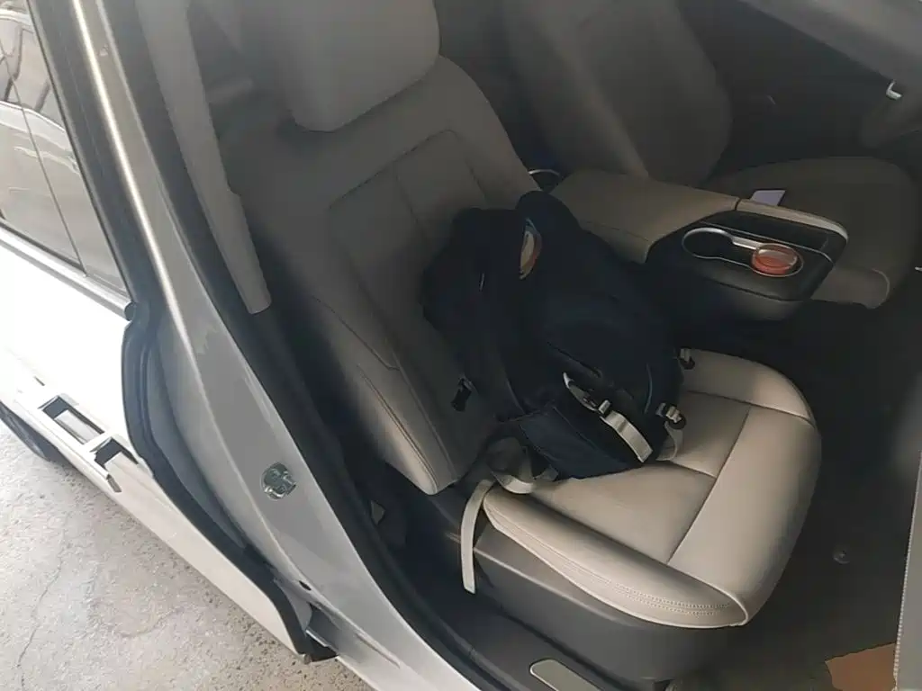 Buick GL8 2025 2025 Land Honor Premium Edition