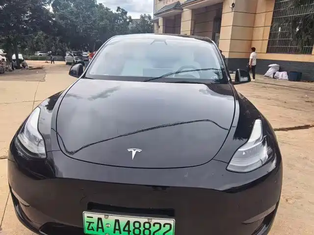 Tesla Model Y Стандартный запас хода, задний привод