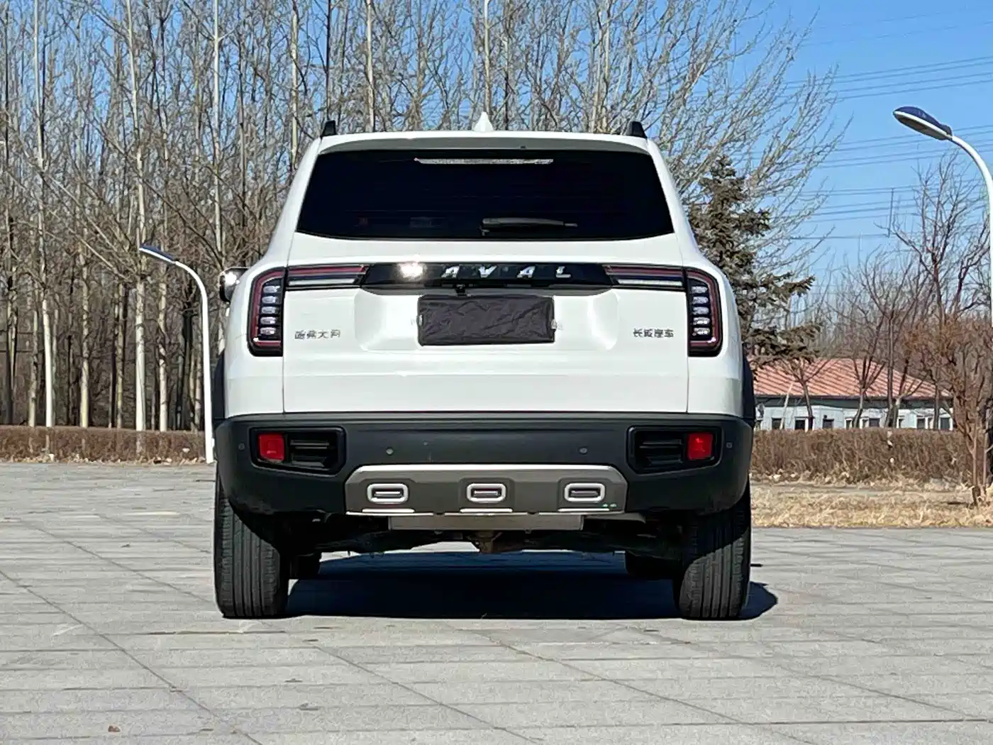 Haval Big Dog 2022 1.5T DCT FWD Border Collie Edition фото 12