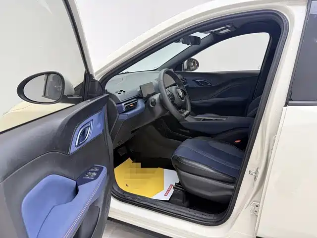 BYD Seagull 2024 Glory Edition 305km Vitality Edition фото 11