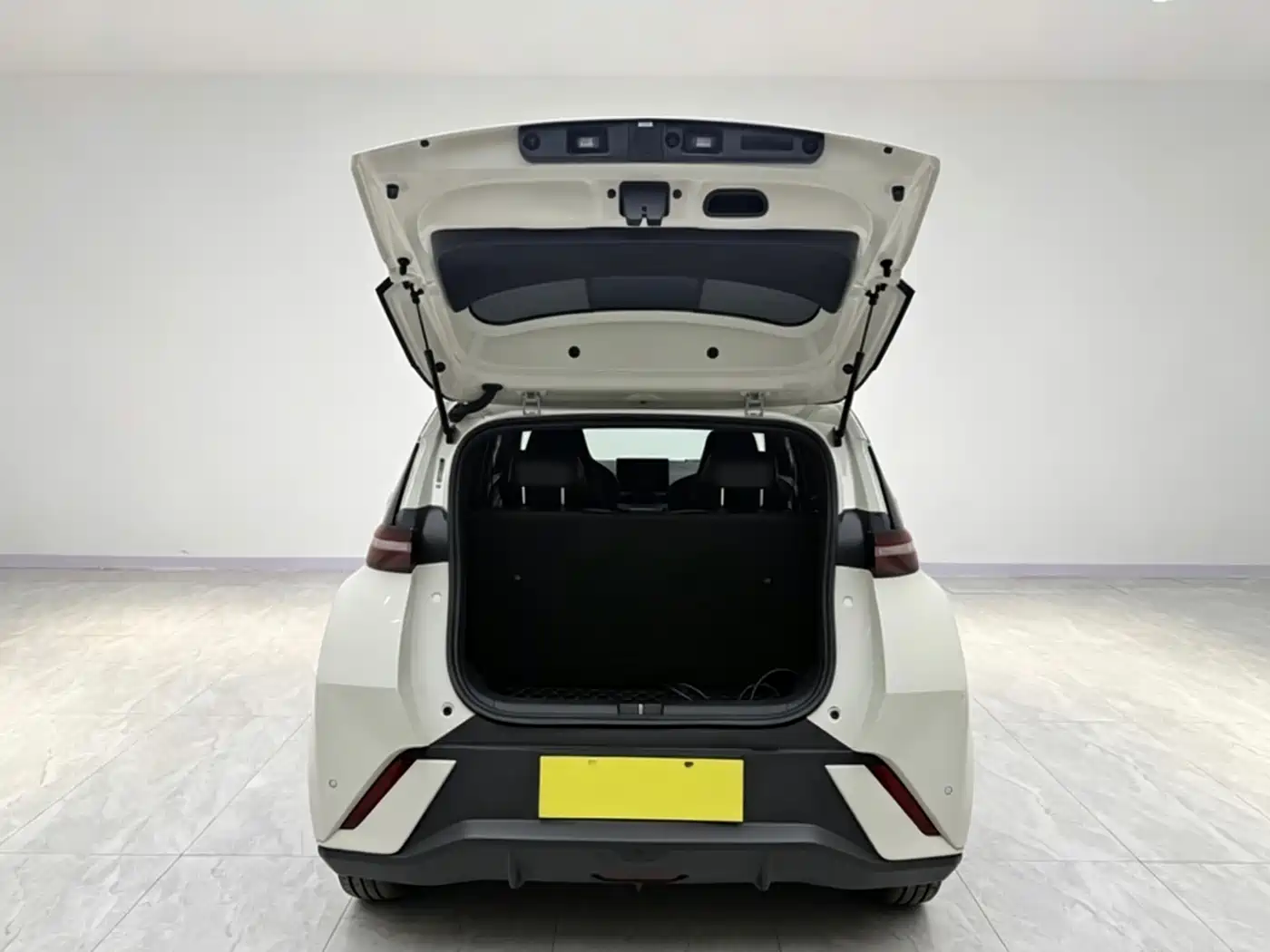 BYD Seagull 2024 Glory Edition 305km Vitality Edition фото 14