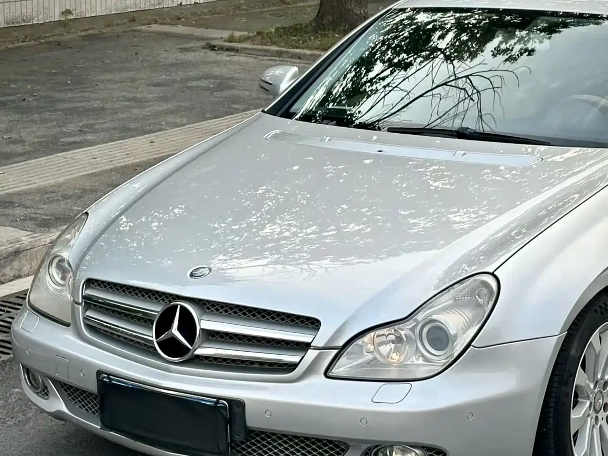 Mercedes-Benz CLS 2010 2009 CLS 300