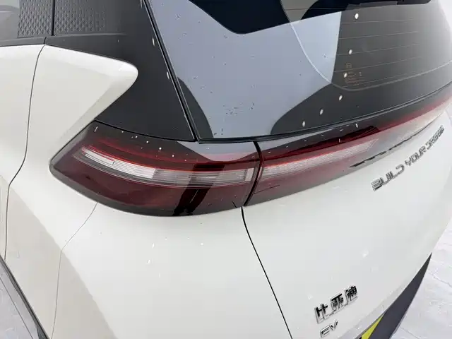 BYD Seagull 2024 Glory Edition 305km Vitality Edition фото 16