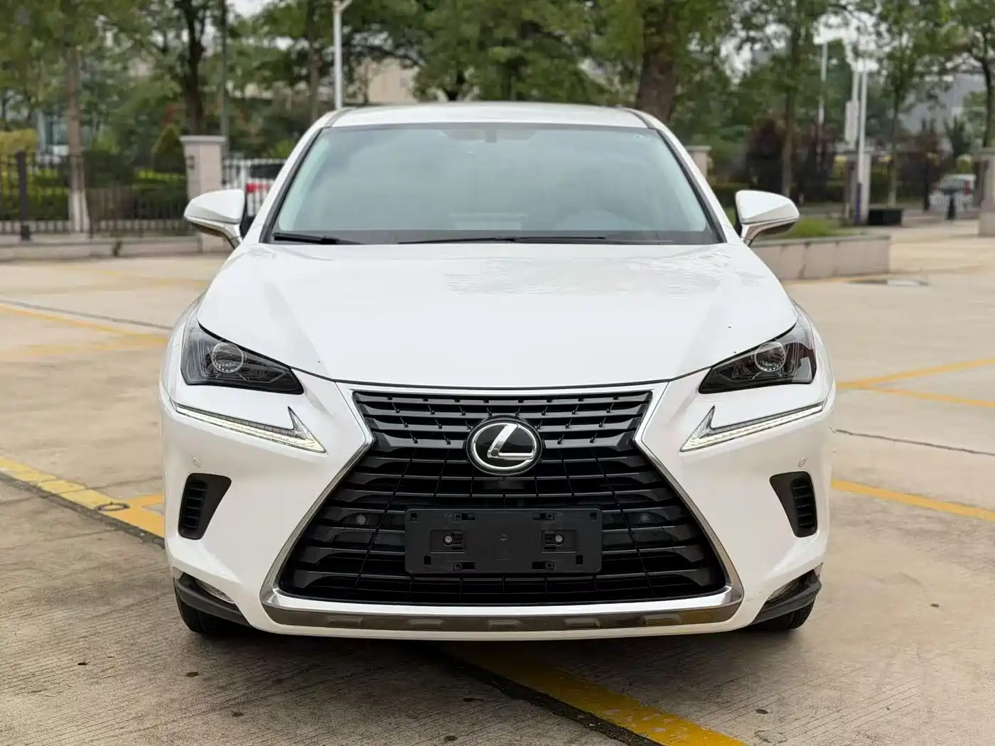 Lexus NX 2020 200 FWD Sharp Edition China V фото 2