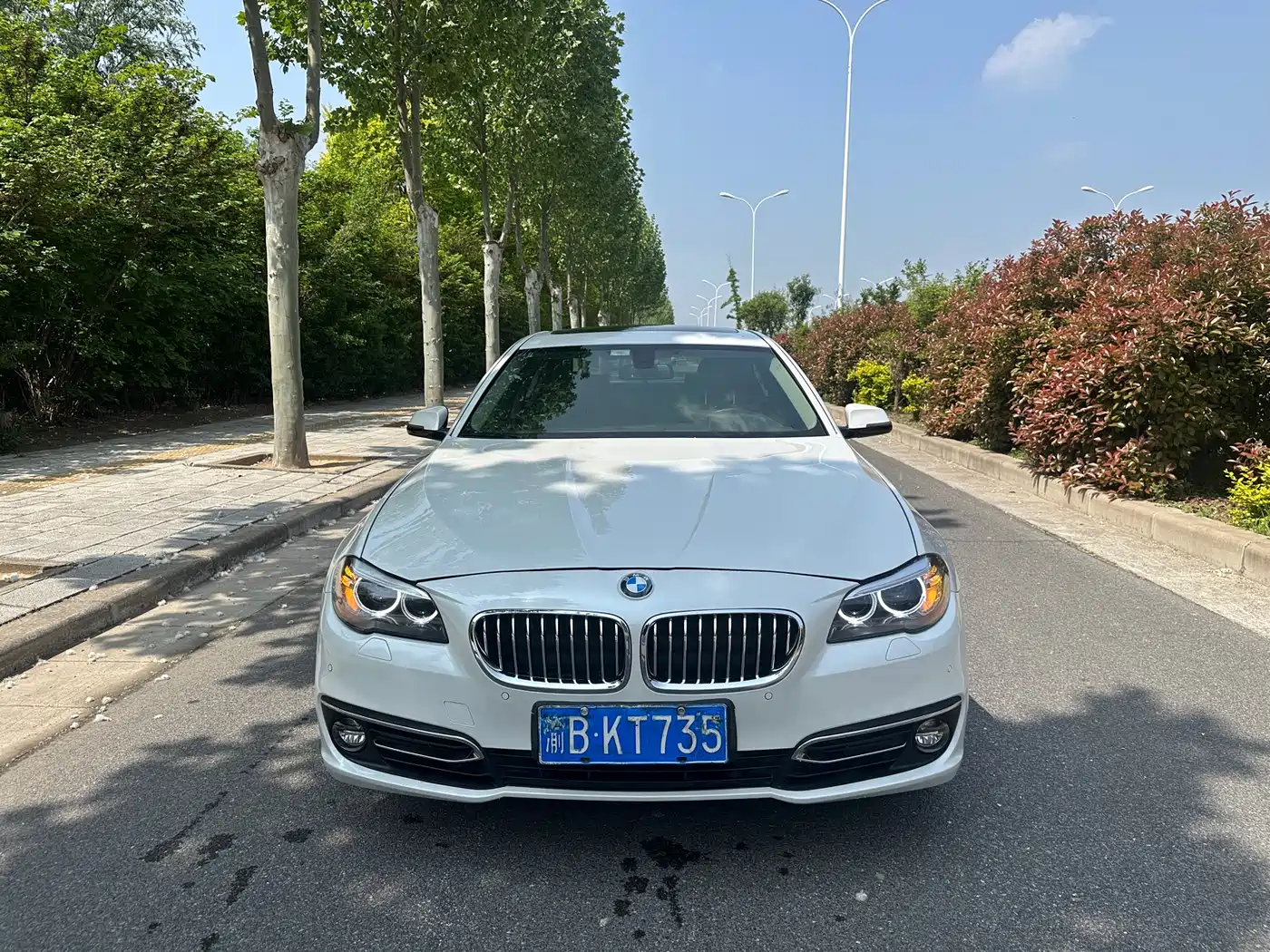 BMW 5 Series 2017 525Li Luxury Design Package фото 2