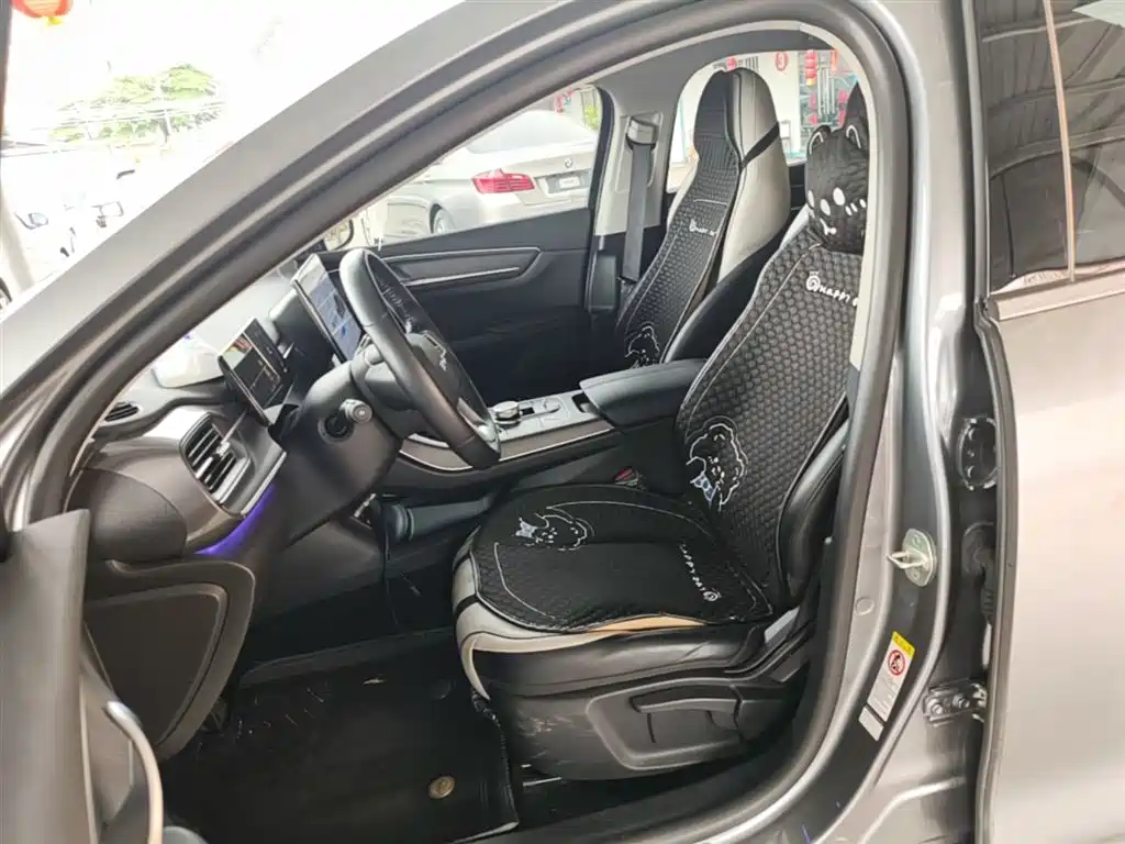 BYD Destroyer 05 2023 Champion Edition DM-i 55KM Luxury фото 15