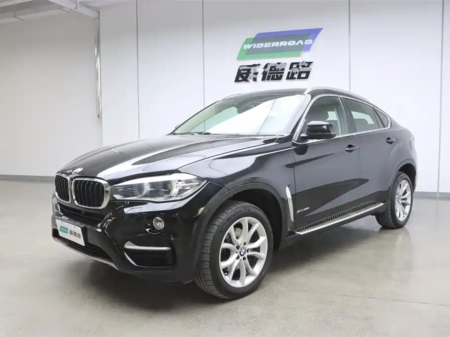 BMW X6 2015 xDrive35i Leading Type