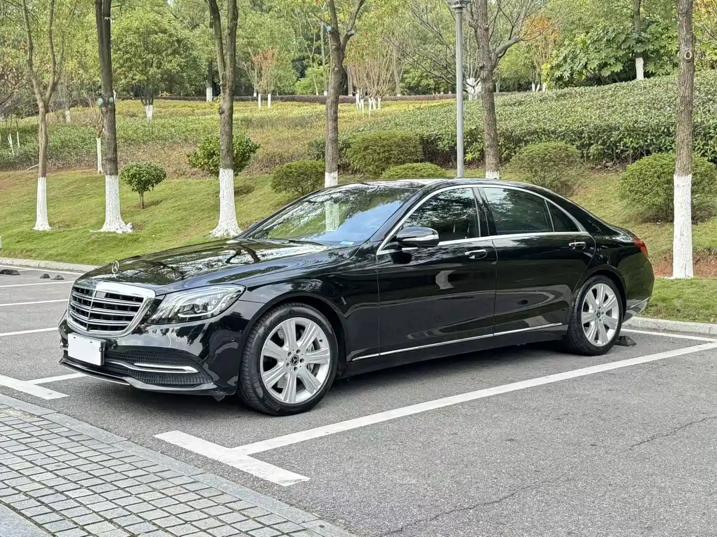 Mercedes-Benz S-Class 2019 S 450 L фото 2