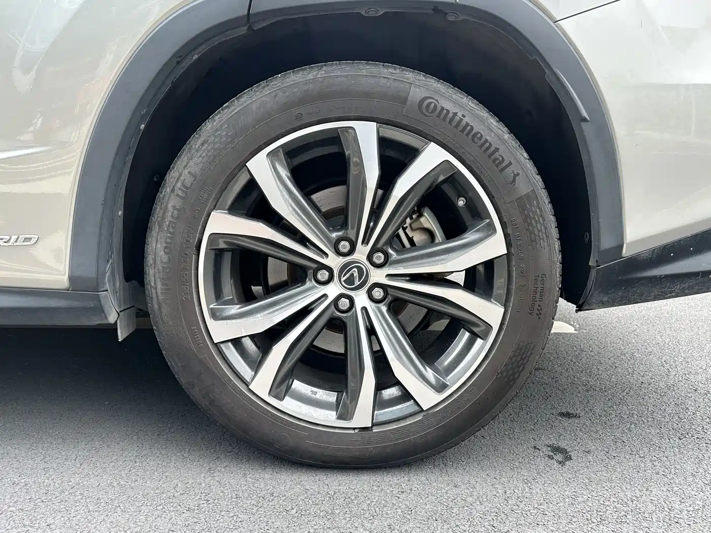 LEXUS RX