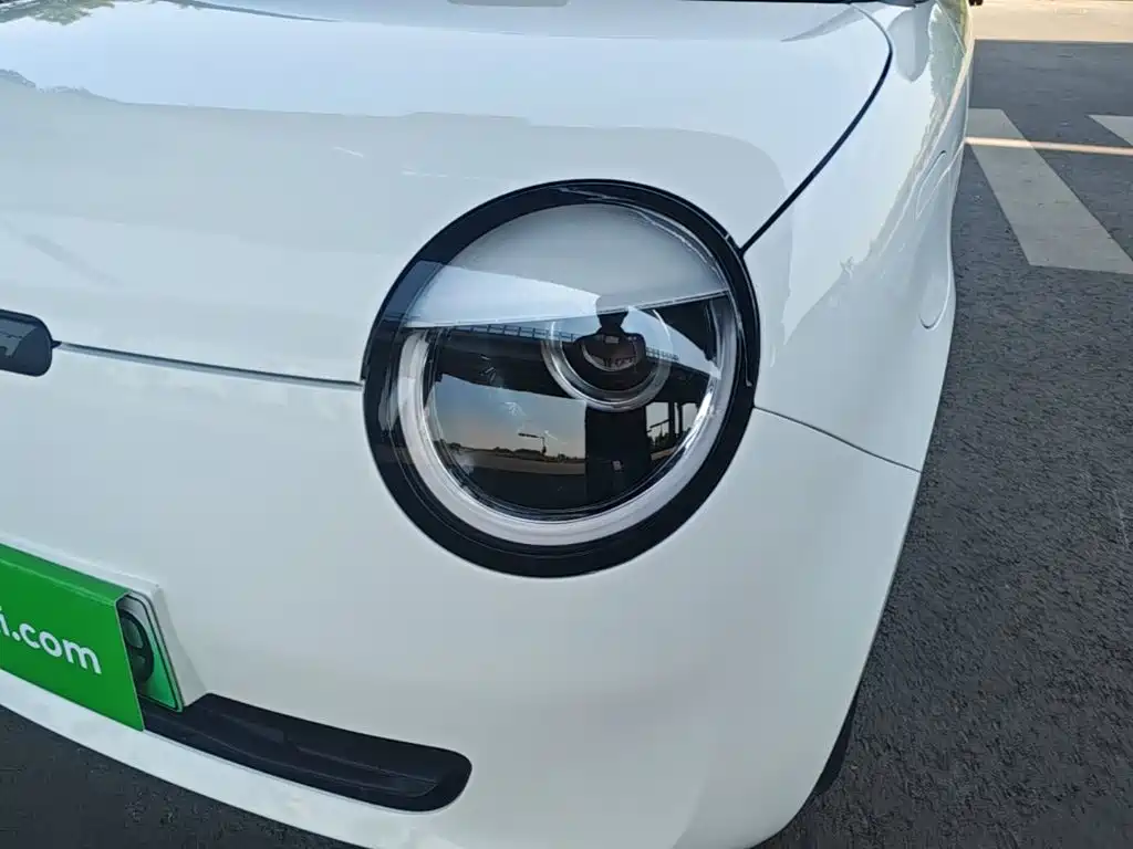 Changan Lumin 2025 2025 205km Fragrant Infusion Edition
