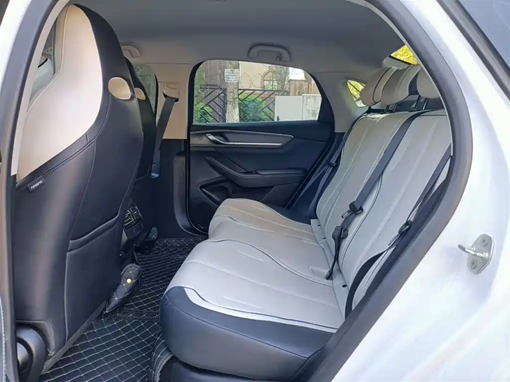 BYD Destroyer 05 2024 Glory Edition DM-i 55KM Luxury фото 11