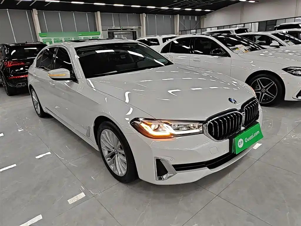 BMW 5 SERIES NEW ENERGY
