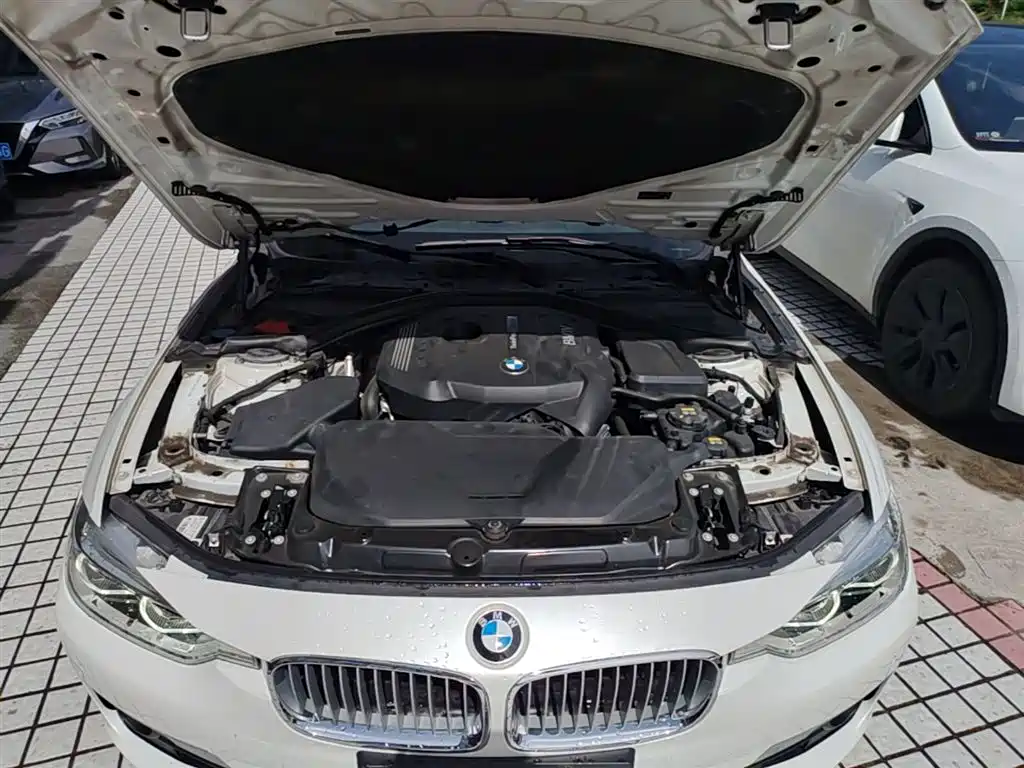 BMW 3 Series 2018 320Li Fashion Style фото 20