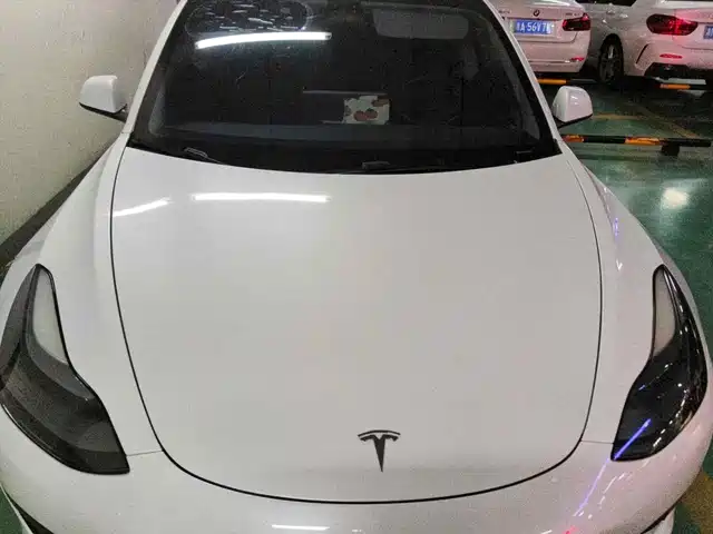 Tesla Model 3 2022 Model Rear-Wheel Drive Version — фото 3