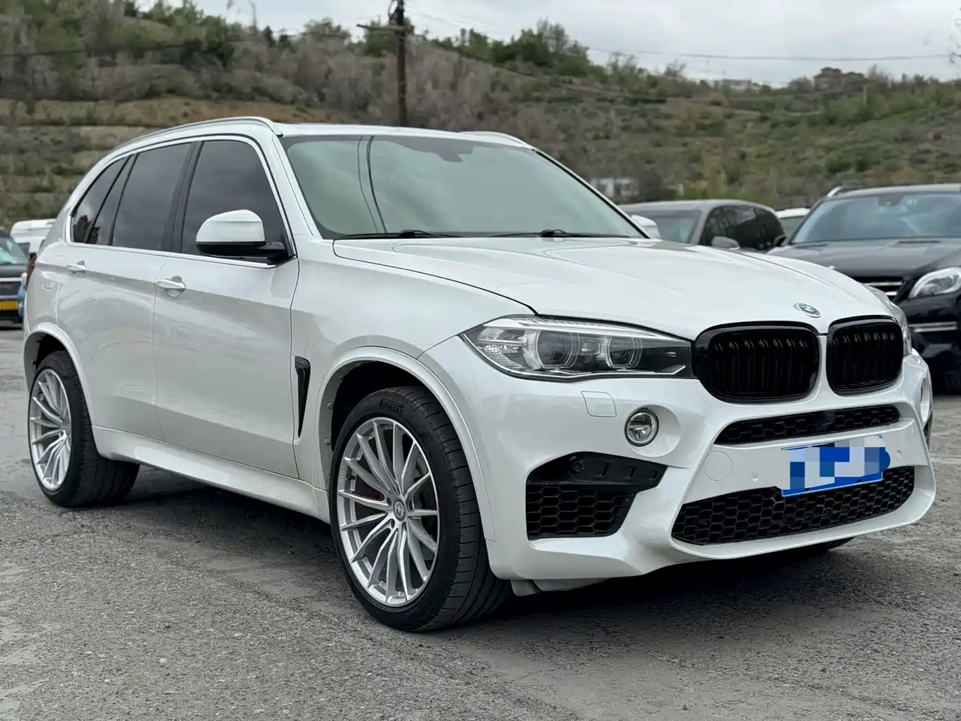 BMW X5 (Import) 2014 xDrive35i Elegance фото 3