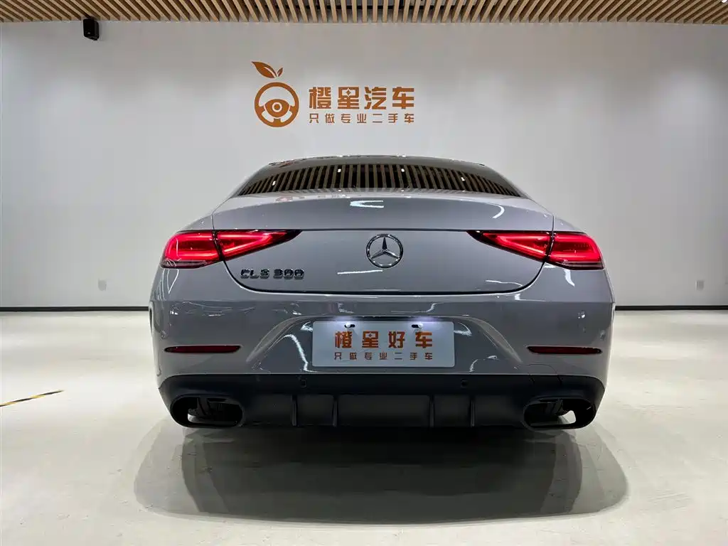 Mercedes-Benz CLS 2020 CLS 300 Luxury фото 5
