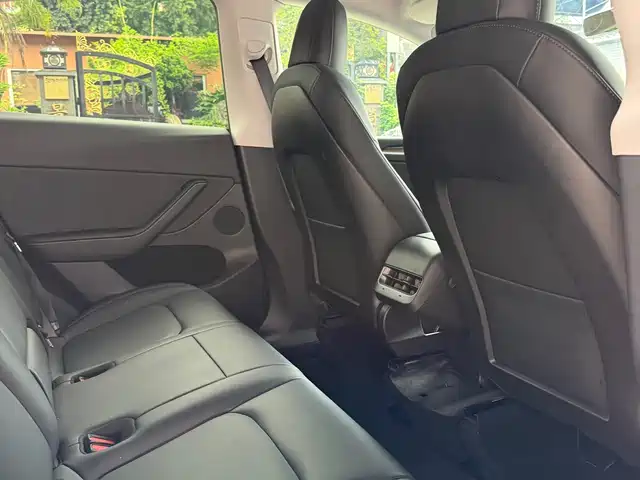 Tesla Model Y 2021 Standard Range Rear-Wheel Drive — фото 5
