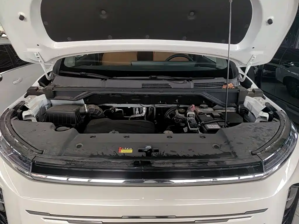 Фото 20 - Maxus Maxus G50 PHEV