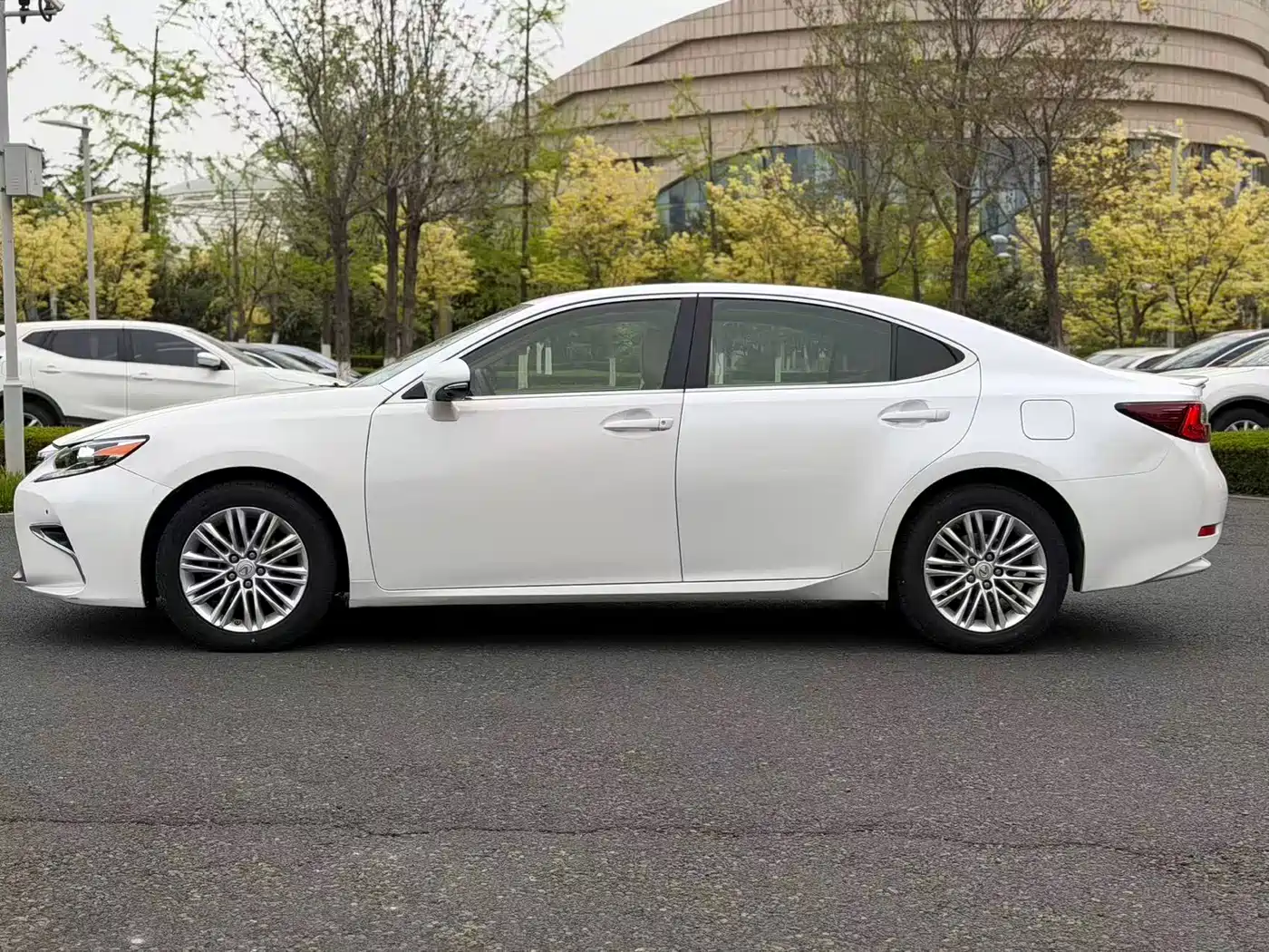 Lexus ES 2015 200 Elite Edition фото 2