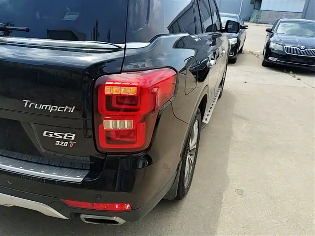 GAC Trumpchi Trumpchi GS8 2017 320T 2WD Luxury Smart Connect (7-seater) фото 8