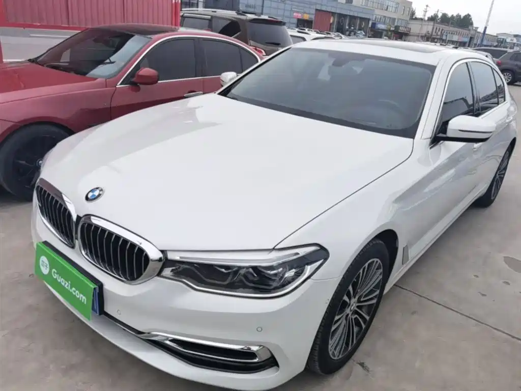BMW 5 Series 2019 530Li Premium Luxury Package фото 2