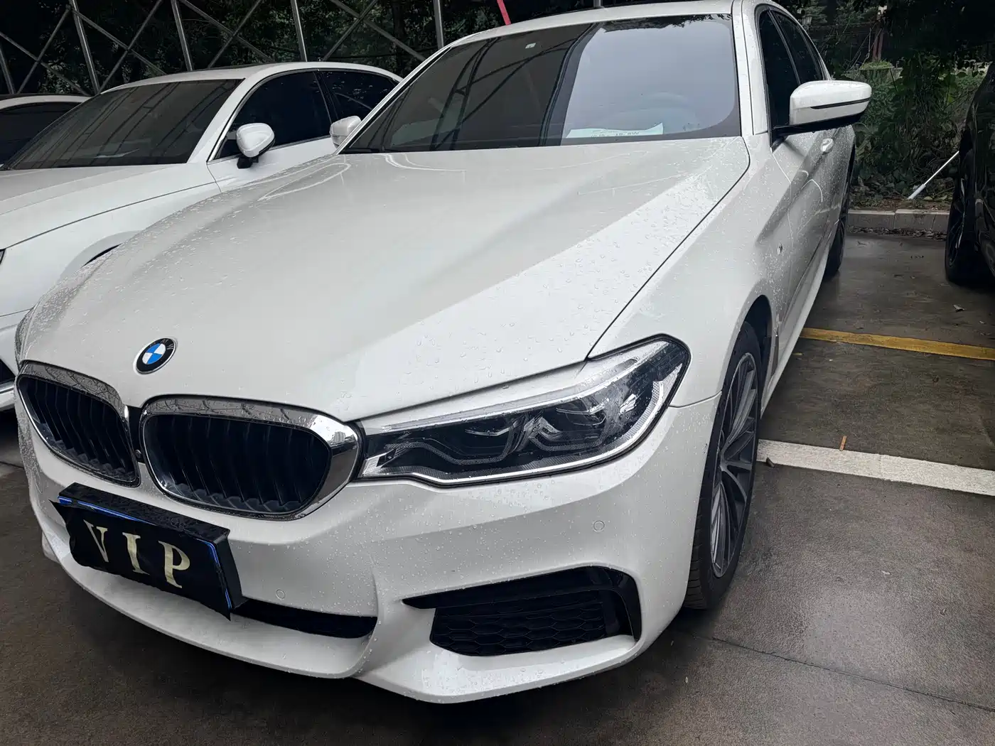 BMW 5 Series 2020 530Li Exclusive M Sport Package