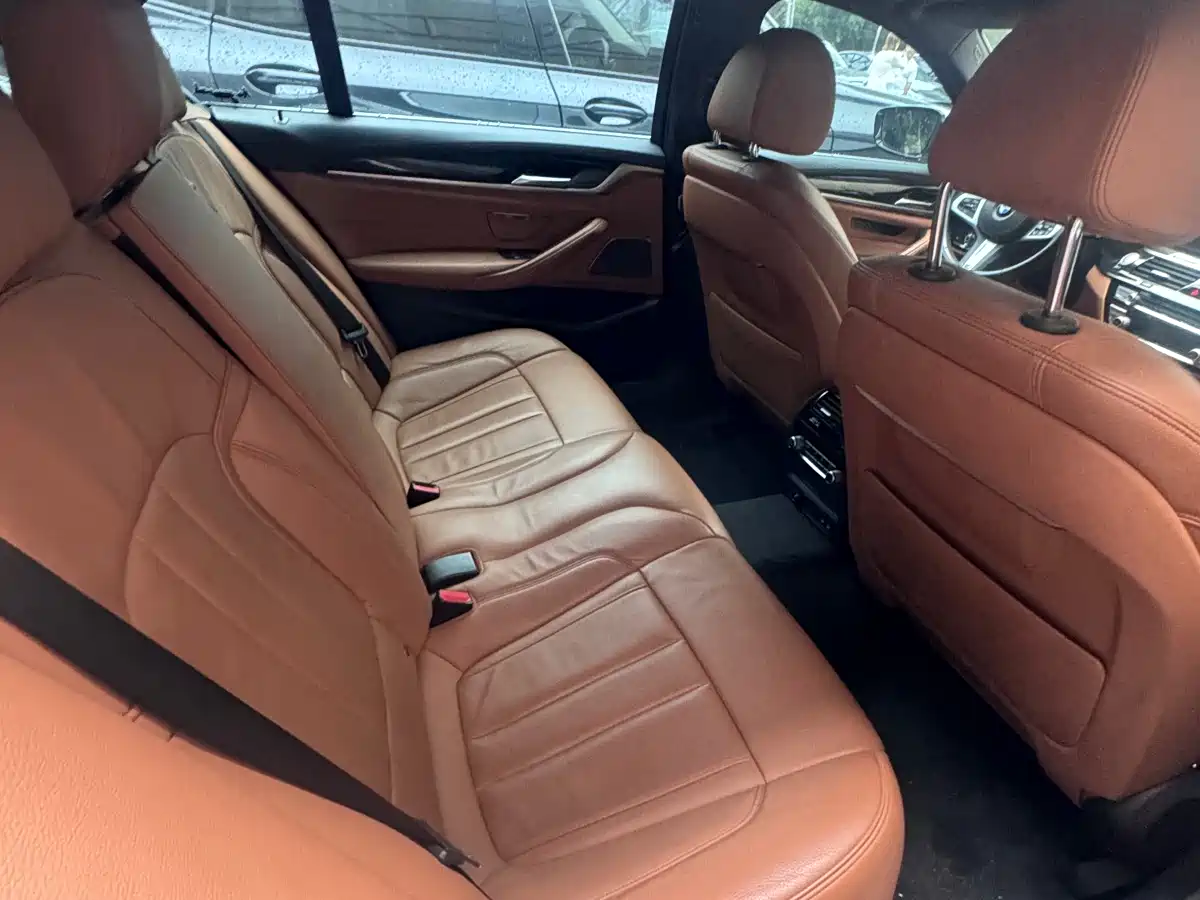 BMW 5 Series 2020 530Li Exclusive M Sport Package фото 16