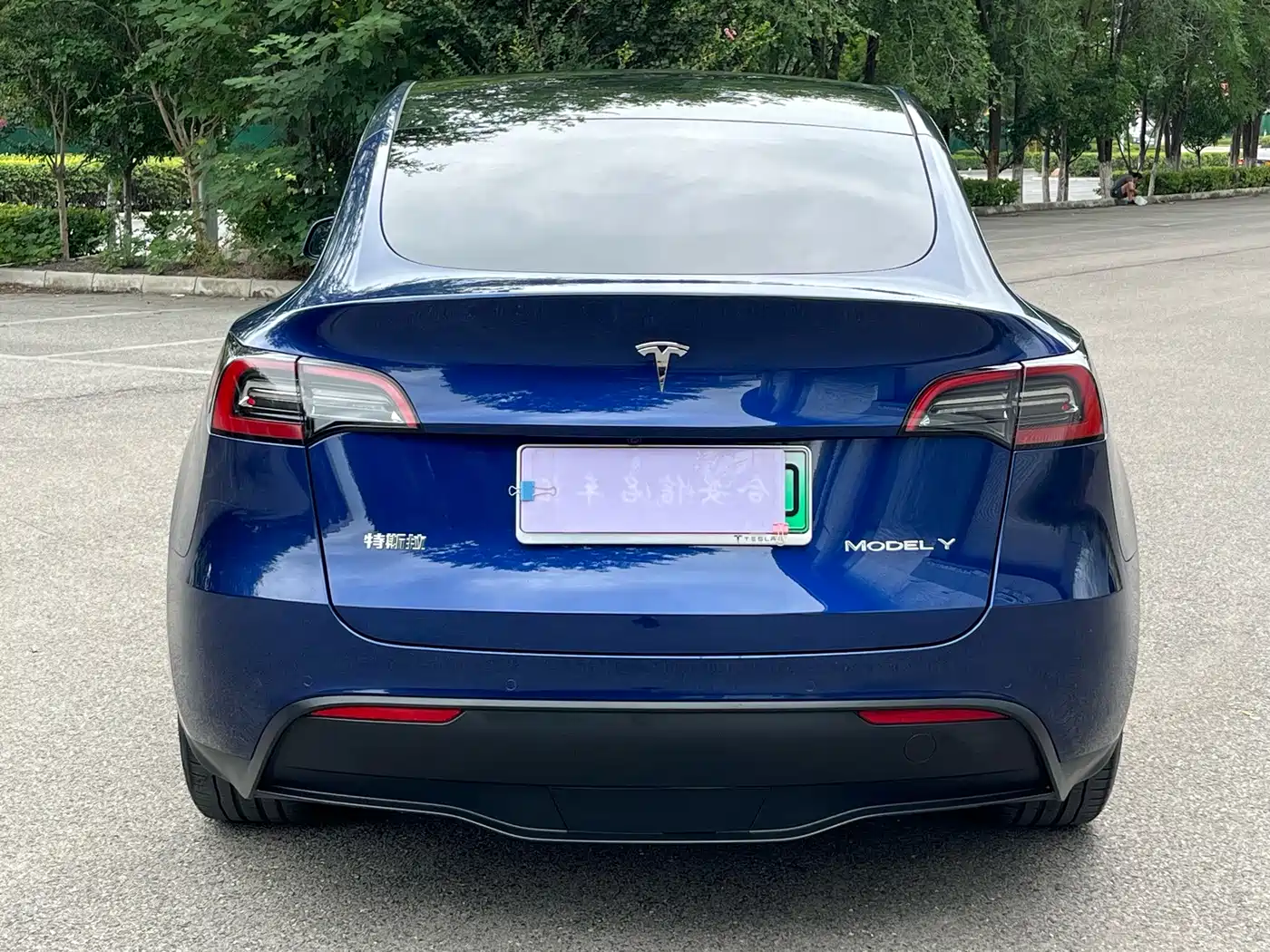 Tesla Model Y 2021 2021 Standard Range Rear-Wheel Drive