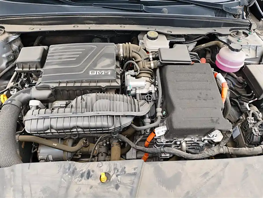BYD Destroyer 05 2024 Glory Edition DM-i 55KM Luxury фото 10