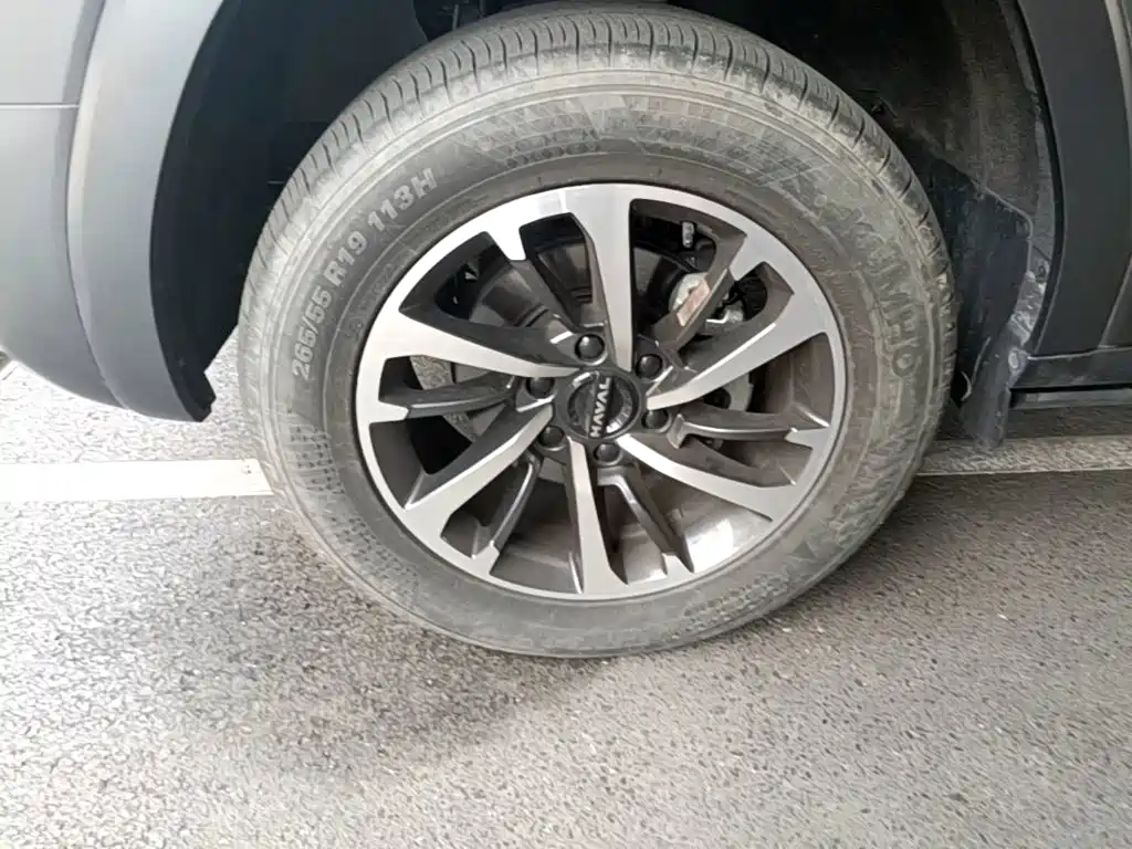 Haval H9 2024 2024 2.0T Gasoline AWD Extreme Edition