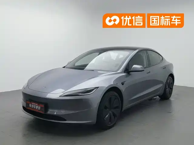 Tesla Model 3 2025 Model Rear-Wheel Drive Edition — фото 1
