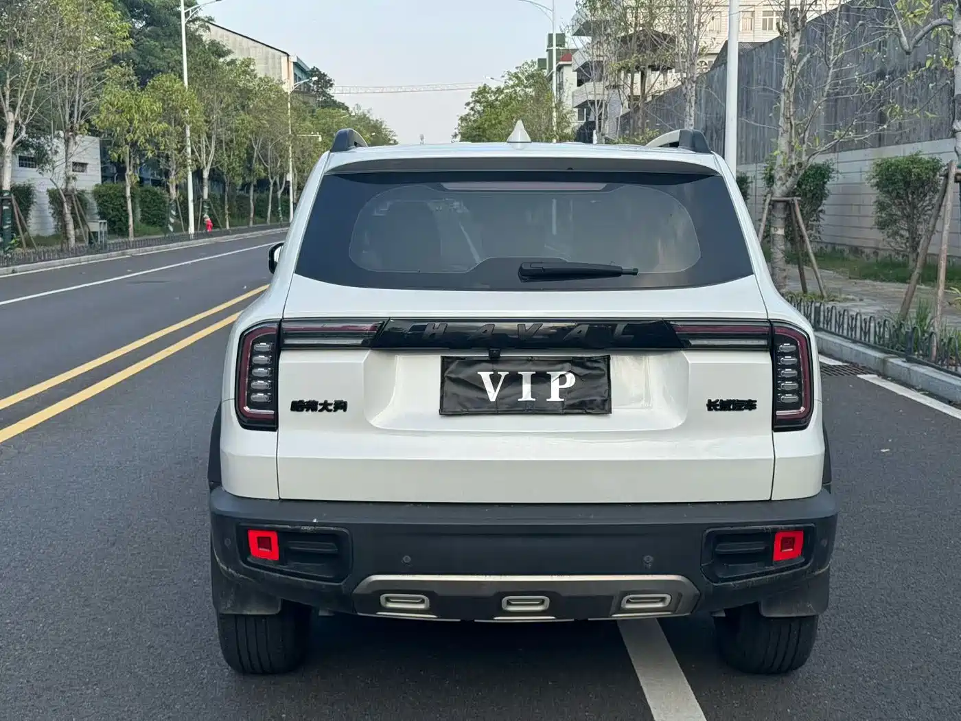 Haval Big Dog 2022 1.5T DCT FWD Border Collie Edition фото 5