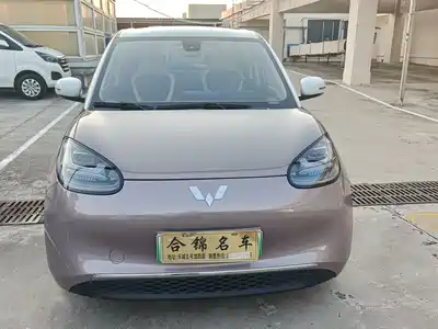 Wuling Bingo