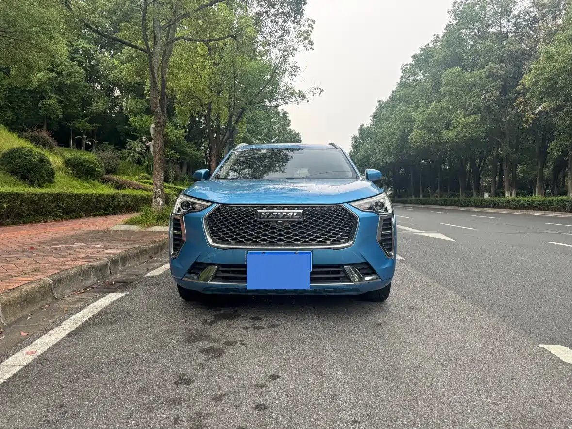 Haval First Love 2021 2021 1.5T Automatic Premium Edition