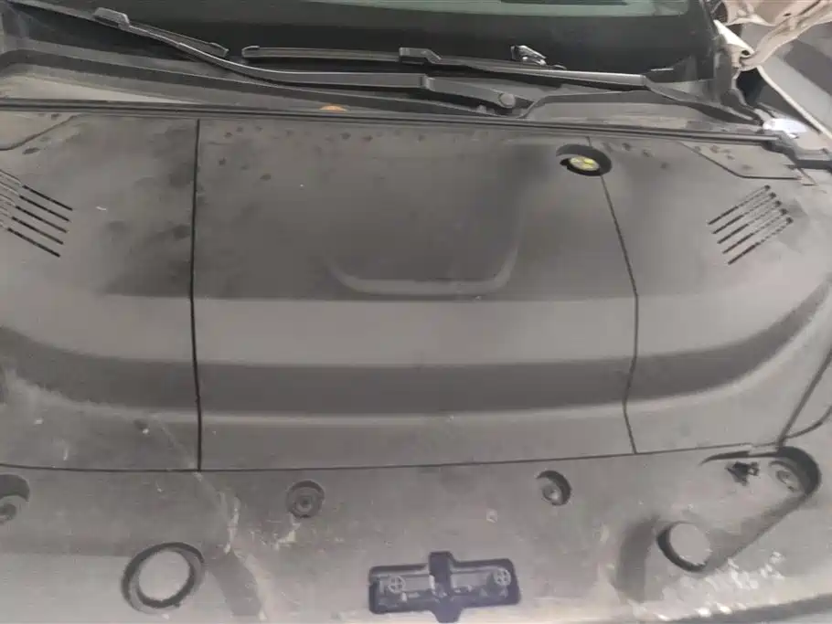 ARCFOX EXTREME FOX POLAR FOX ALPHA S5