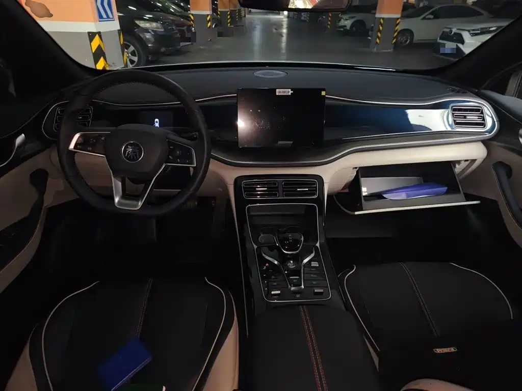 BYD Qin PLUS 2021 DM-i 55KM Flagship фото 13