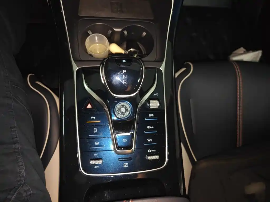 BYD Qin PLUS 2021 DM-i 55KM Flagship фото 7